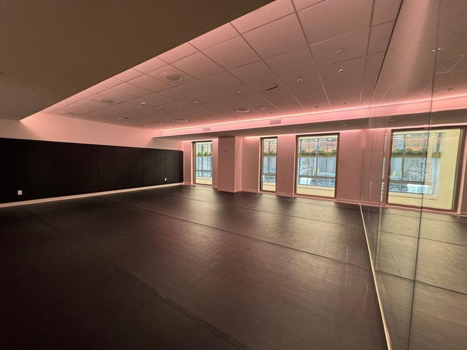 Martial arts studio at Google office