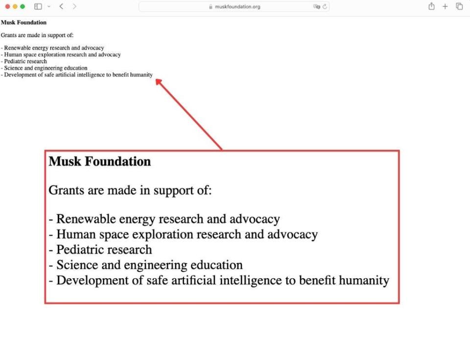 Screengrab of Musk Foundation website.