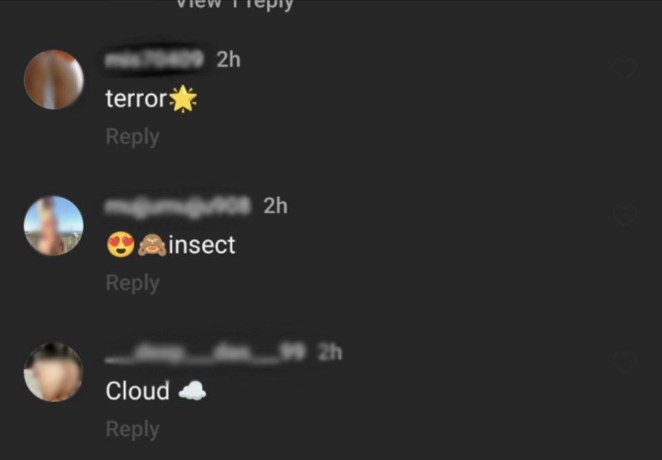 Comments from porn bots on Instagram that read 