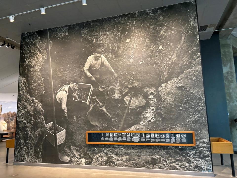 A large photo of people digging up a La Brea tar pit blown up on the museum wall