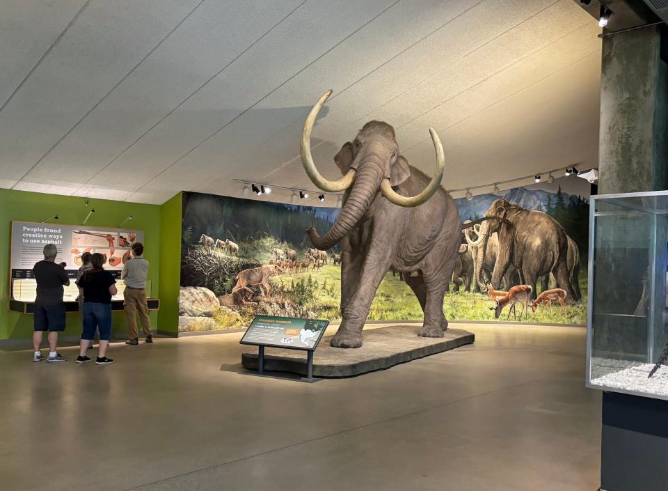 A model of a Colombian mammoth in the La Brea museum with some people standing nearby