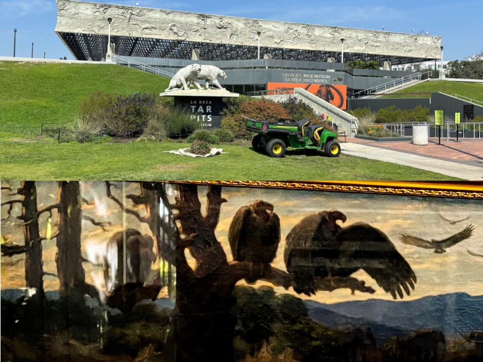 A side-by-side of the George C. Page Museum exterior and a close up of a painting of a tree with birds of prey on a branch