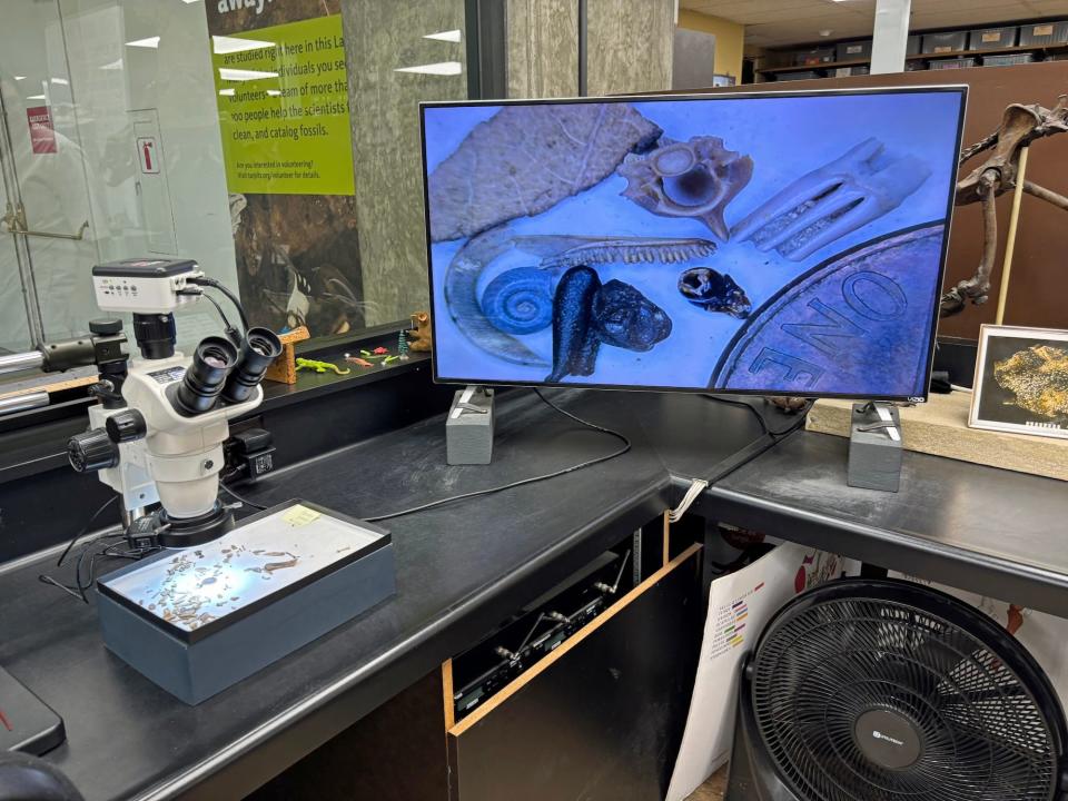 A microscope over a tray of tiny fossils that are magnified on a screen next to a penny